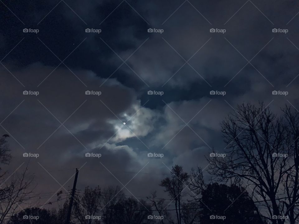 A moonlit night is a magical sight. I just love when the clouds roll through, to make the sky more interesting. 