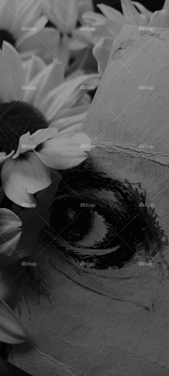 A look of loneliness