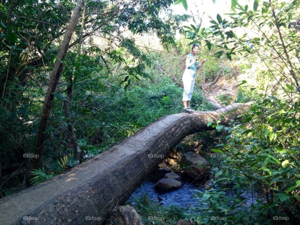 The Life and Times of Nepal