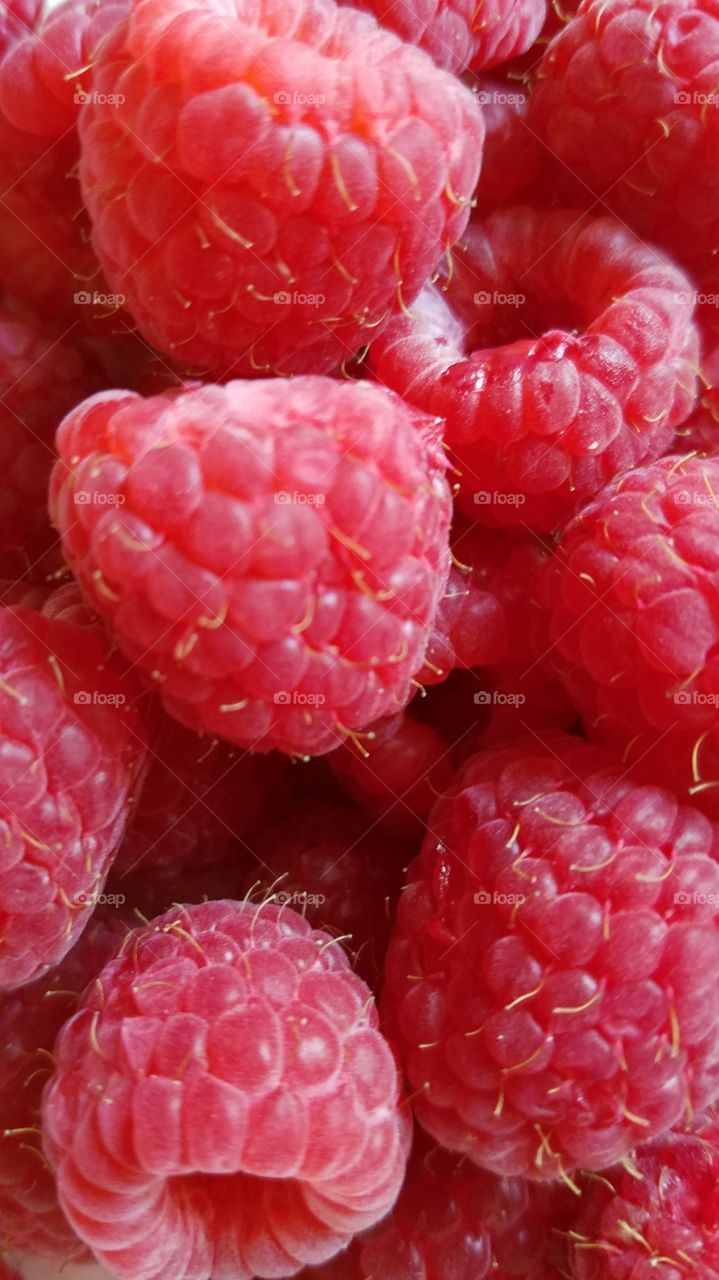 Fresh raspberries