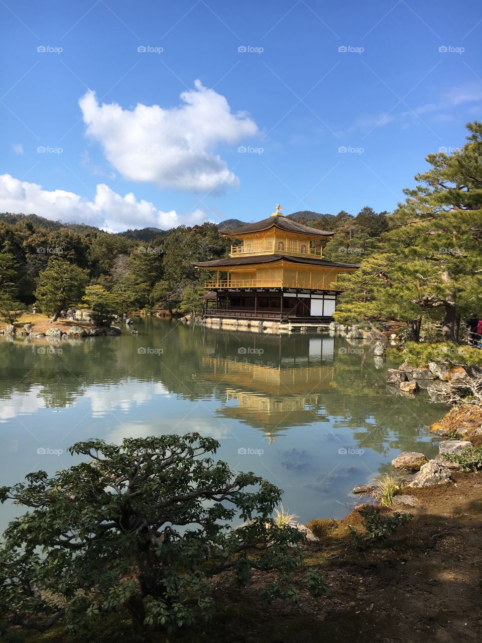 Historical temple in Tokyo. Beautiful serene amazing. Spiritual, peaceful feeling in the air 