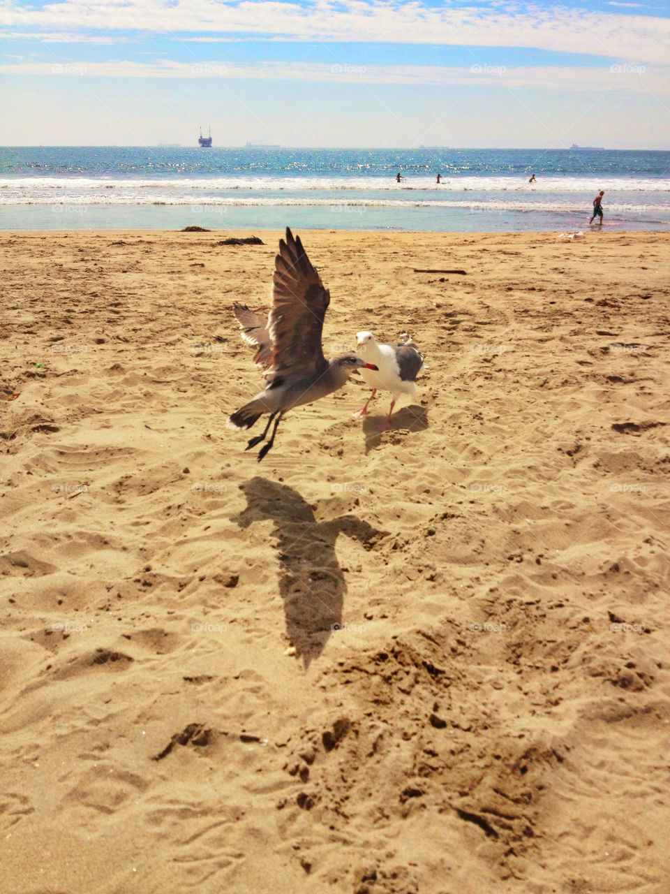 beach ocean sky shadow by analia