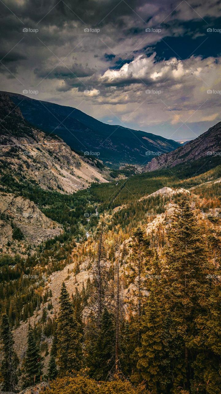 Downhill view of the mystic trail.