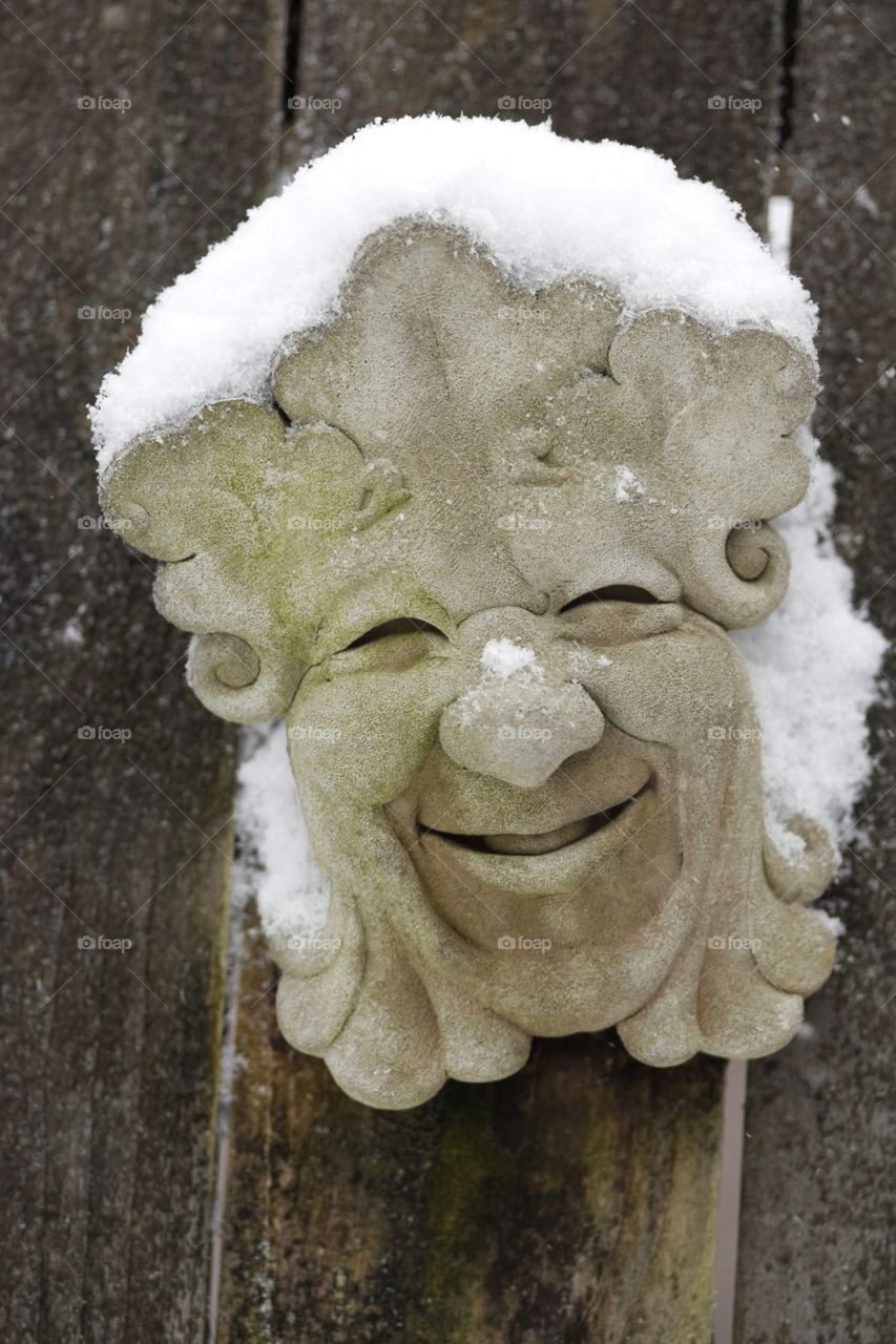 Smiling Garden Face