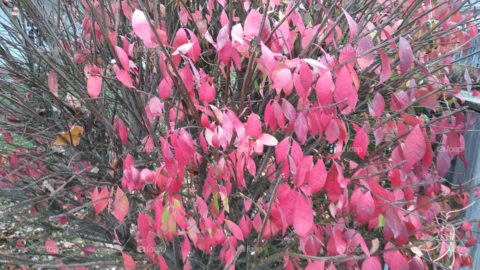 The Fire's Going Out