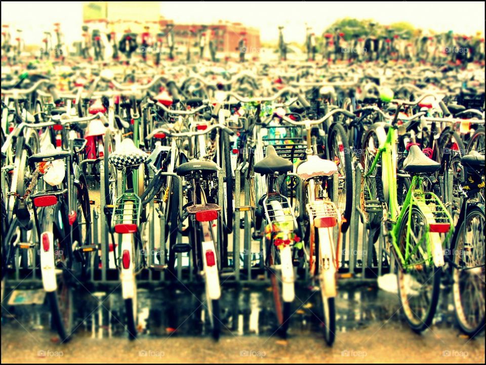 bike crowd