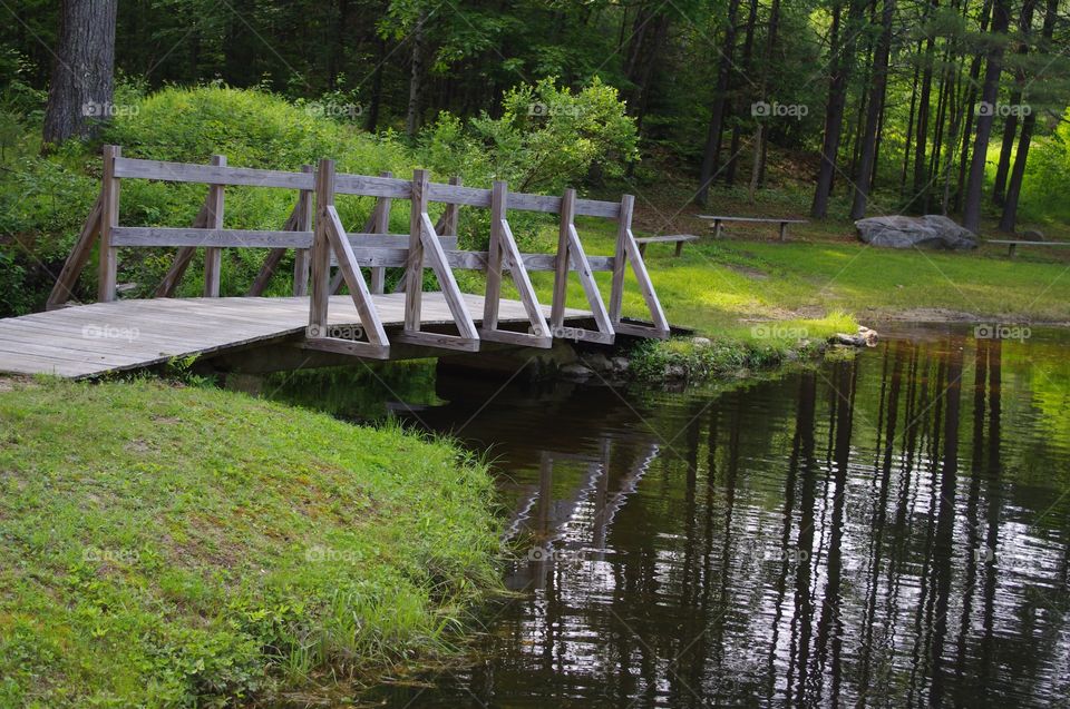 Pond Bridge