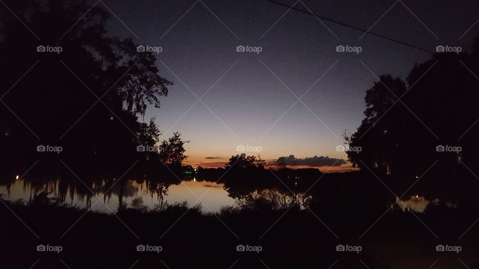 Sunset, Tree, Dawn, No Person, Silhouette