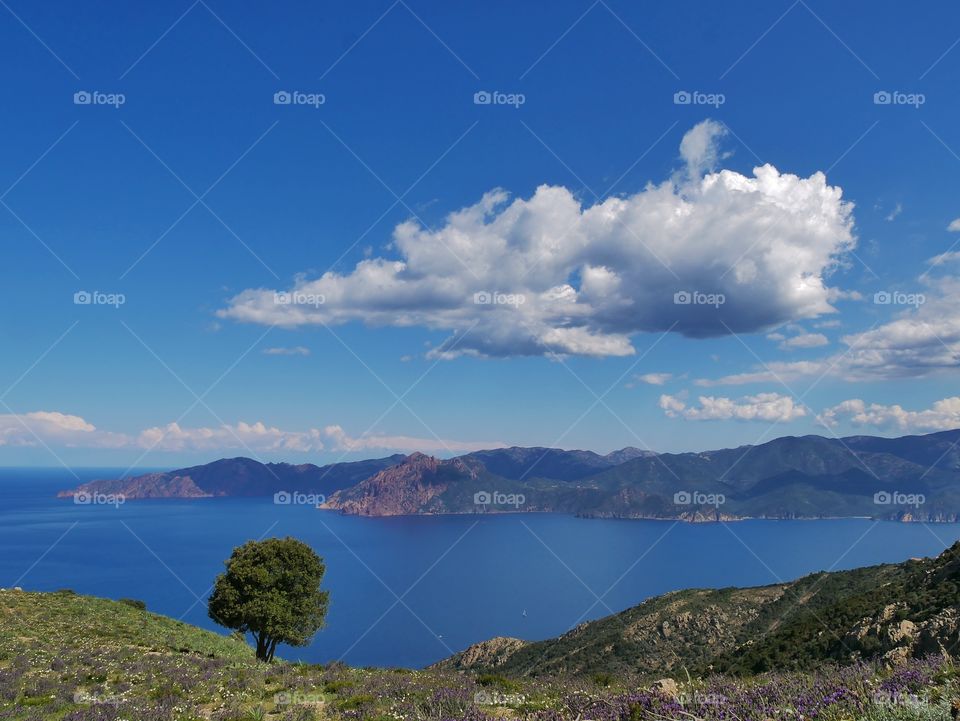 corsica