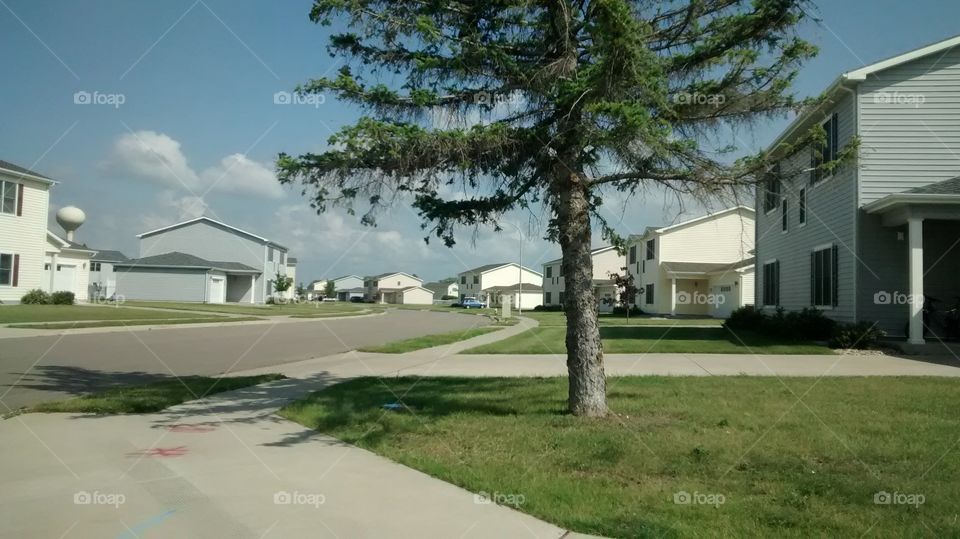 Tree, House, No Person, Home, Building