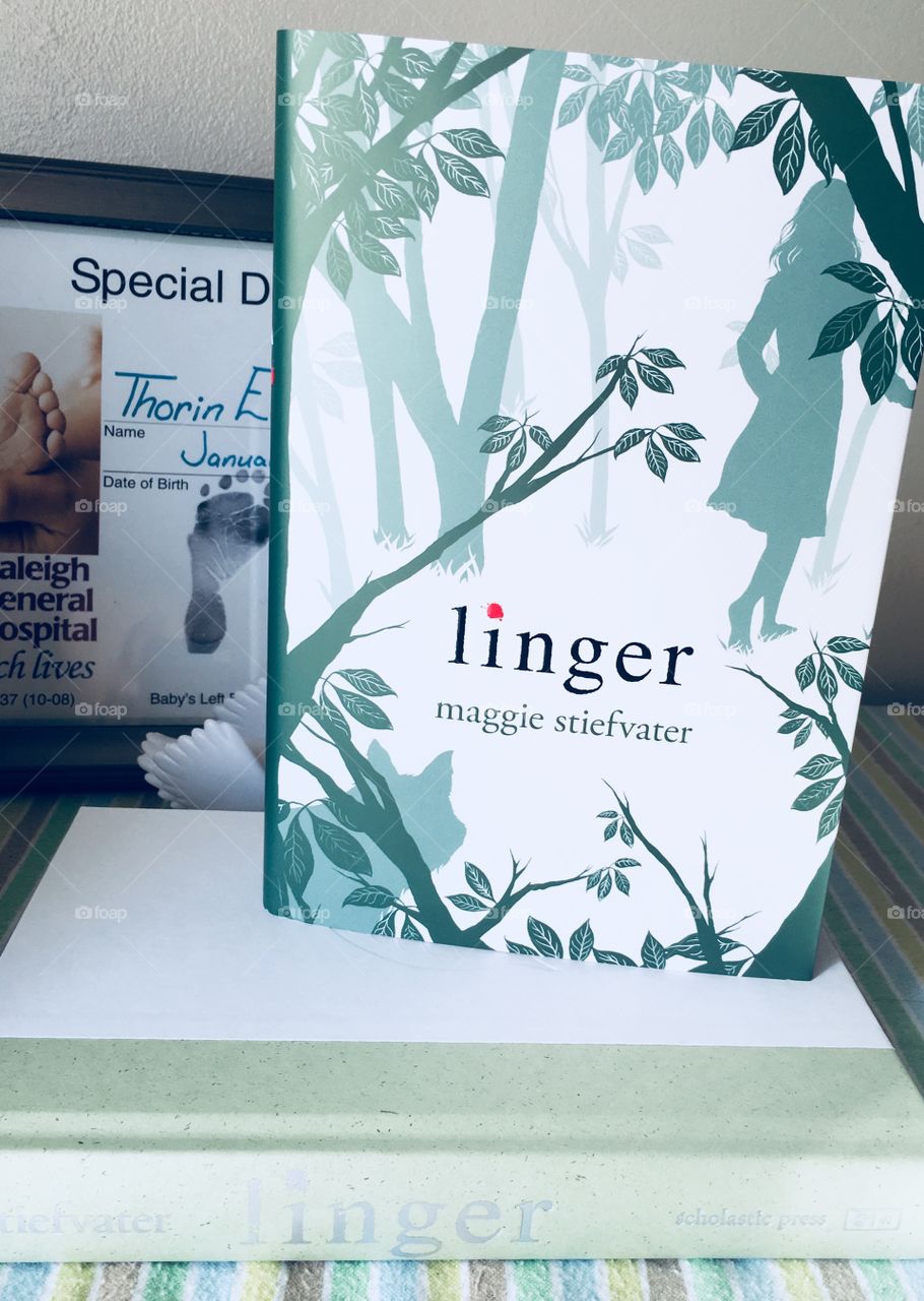 Linger is the Second book to the shiver trilogy. It’s a beautiful green and the cover describes the books perfectly. 
