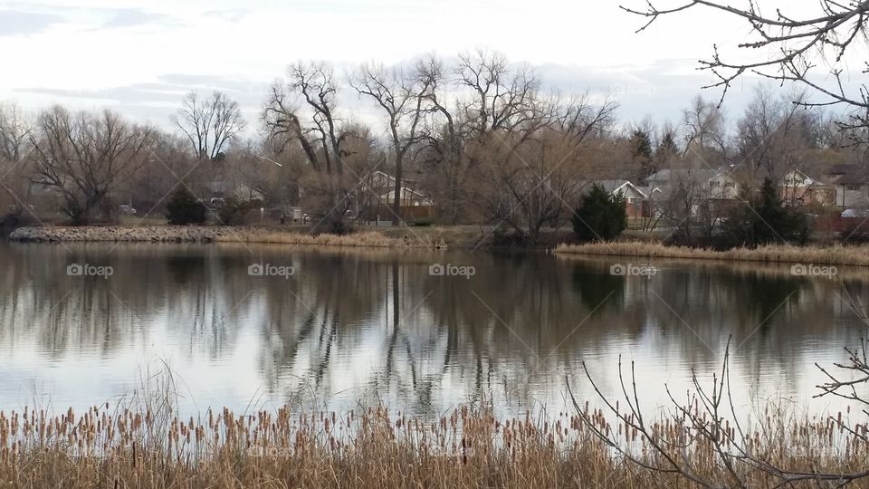 lake reflection 
