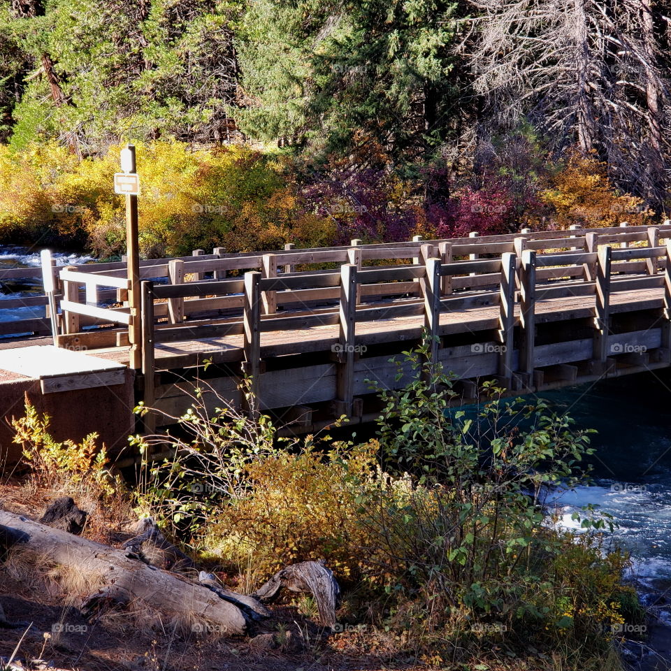 One-Lane bridge over the turquoise waters of the Metolius River at Wizard Falls with beautiful fall colors in the trees on its banks on a sunny Central Oregon autumn morning. 