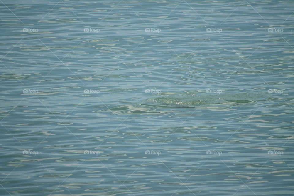 Water, Reflection, H2 O, Nature, Wave