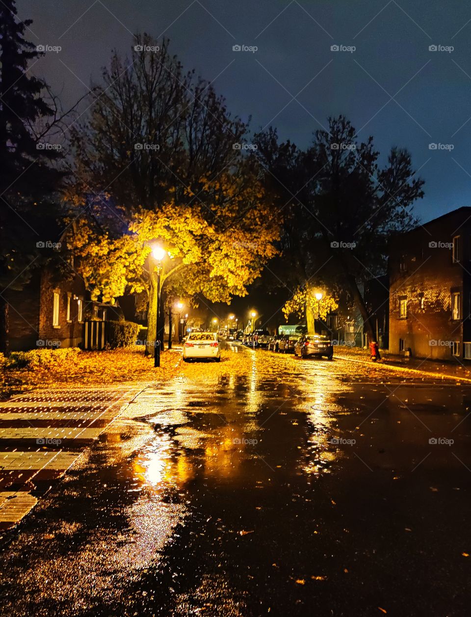 Autumn on the city streets