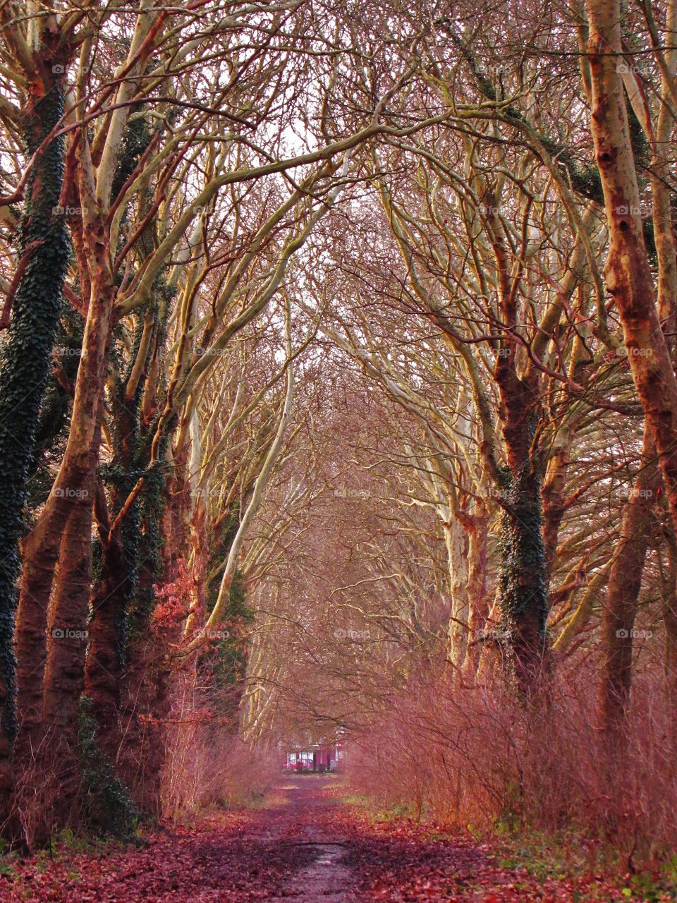 In the park