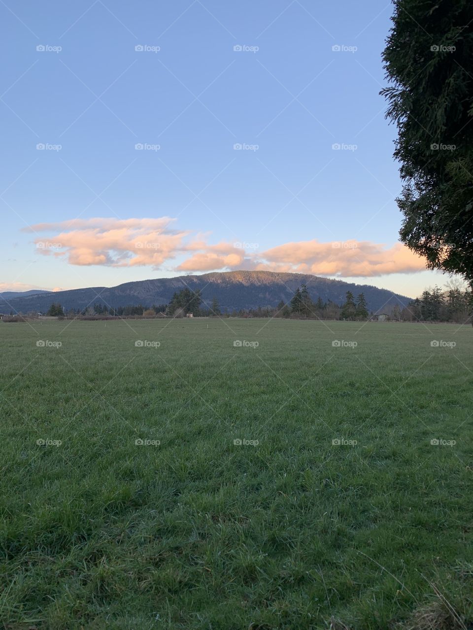 Field mountain trees and red clouds