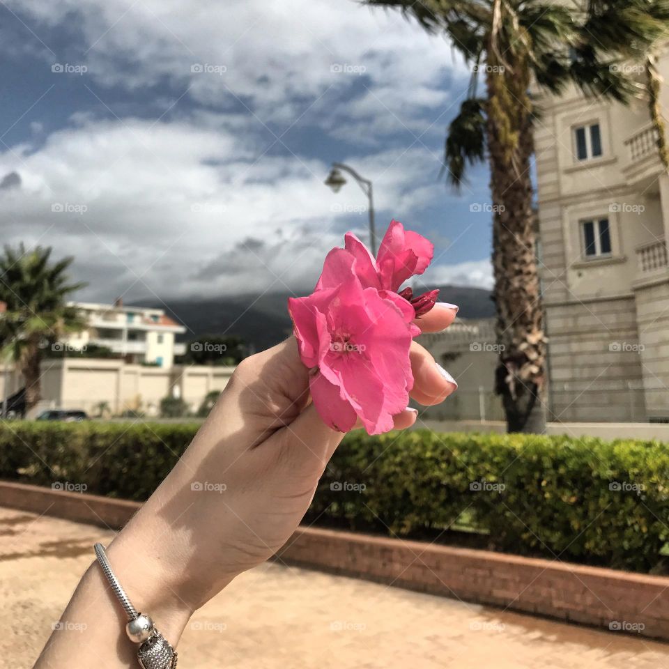 Woman holding pink flower in hand 
