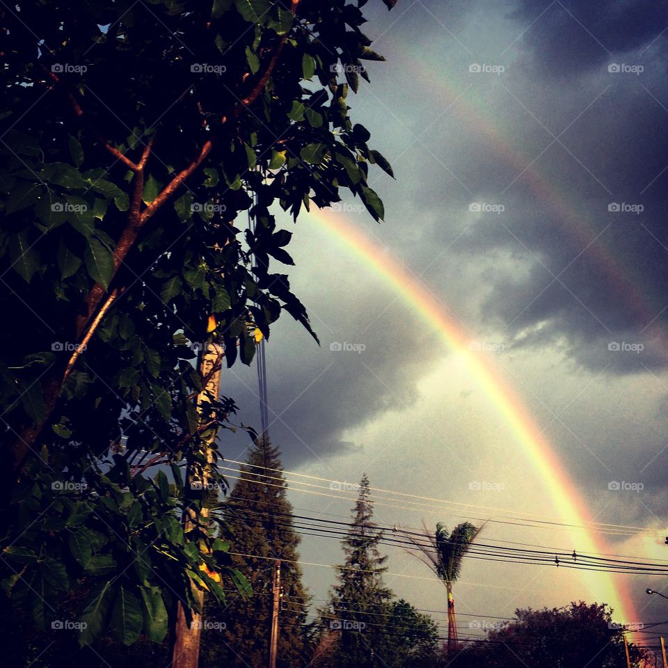 O arco-íris apareceu na manhã. A natureza é, de fato, perfeita. Quem ousaria pintar tal quadro?