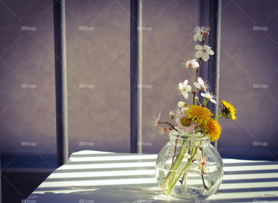 Close up of a small glass vase with first spring flowers,  daisies, and dandelion . Light-shadows