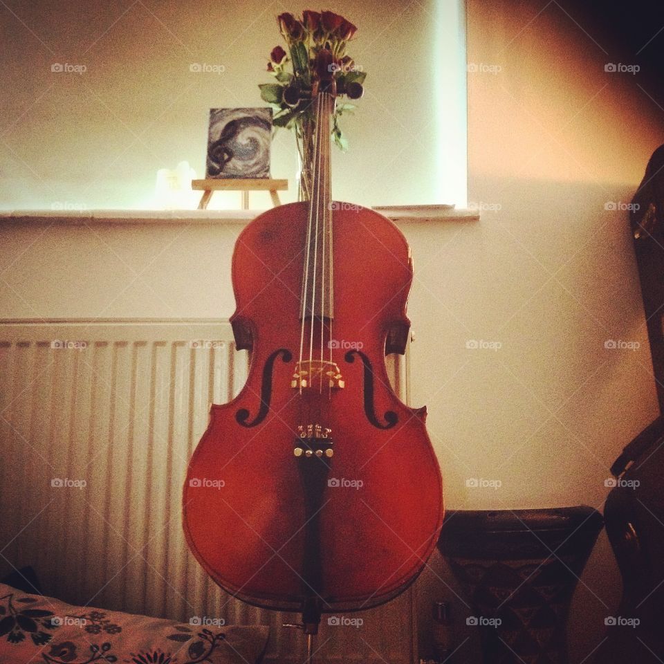Mr. Cello. An old cello restored back to life