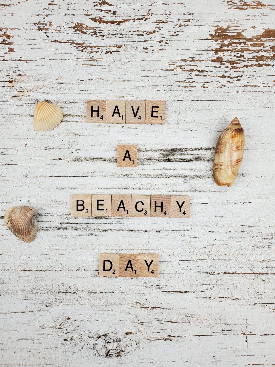 Square wooden word have a beach day and seashells on a rustic white background 