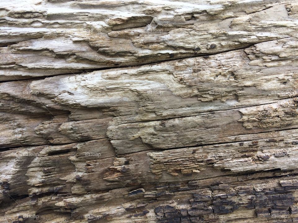 Weathered wood at the seaside