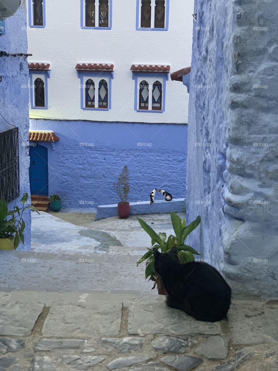 Chefchaouen 