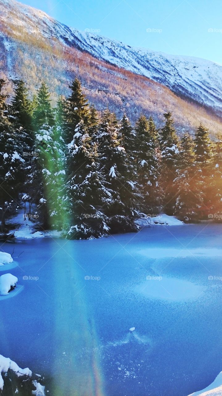 Landscape view of frozen lake and trees