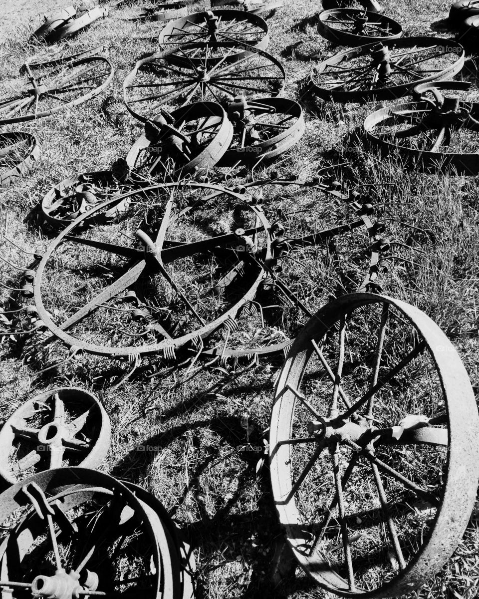 Rusty wagon wheels scattered on grass