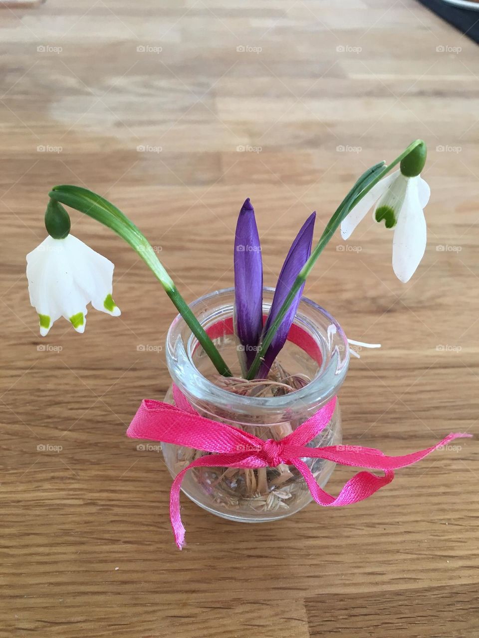 here comes springtime 