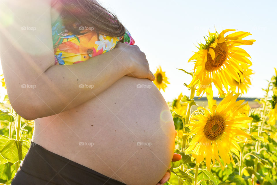 waiting, coming soon, sunflowers, Brazil