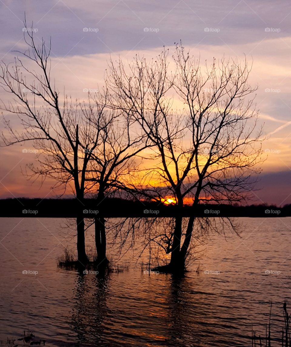Sunset through the trees