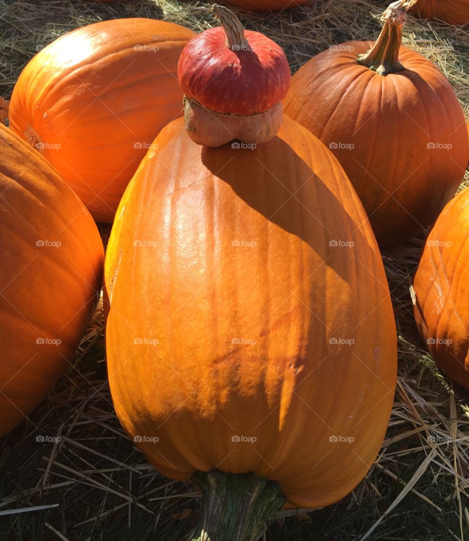 Decorated pumpkin