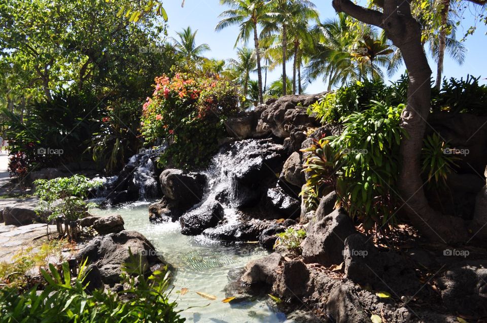 Waterfall in Hawaii 