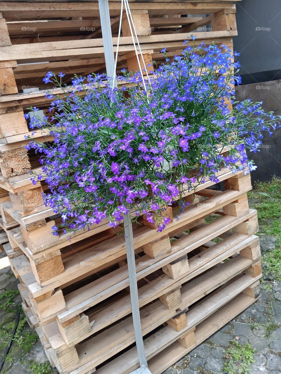 pallets