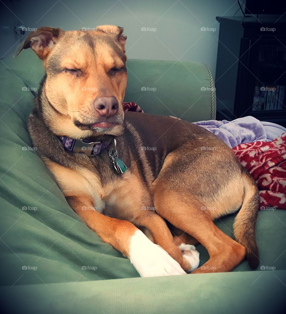 Paris saying.... Please don't take another picture of me..... her face is priecless