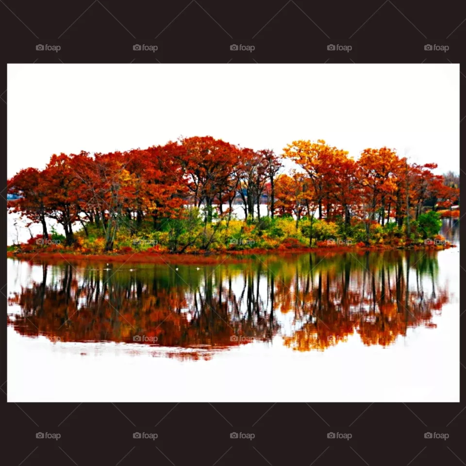 Island red