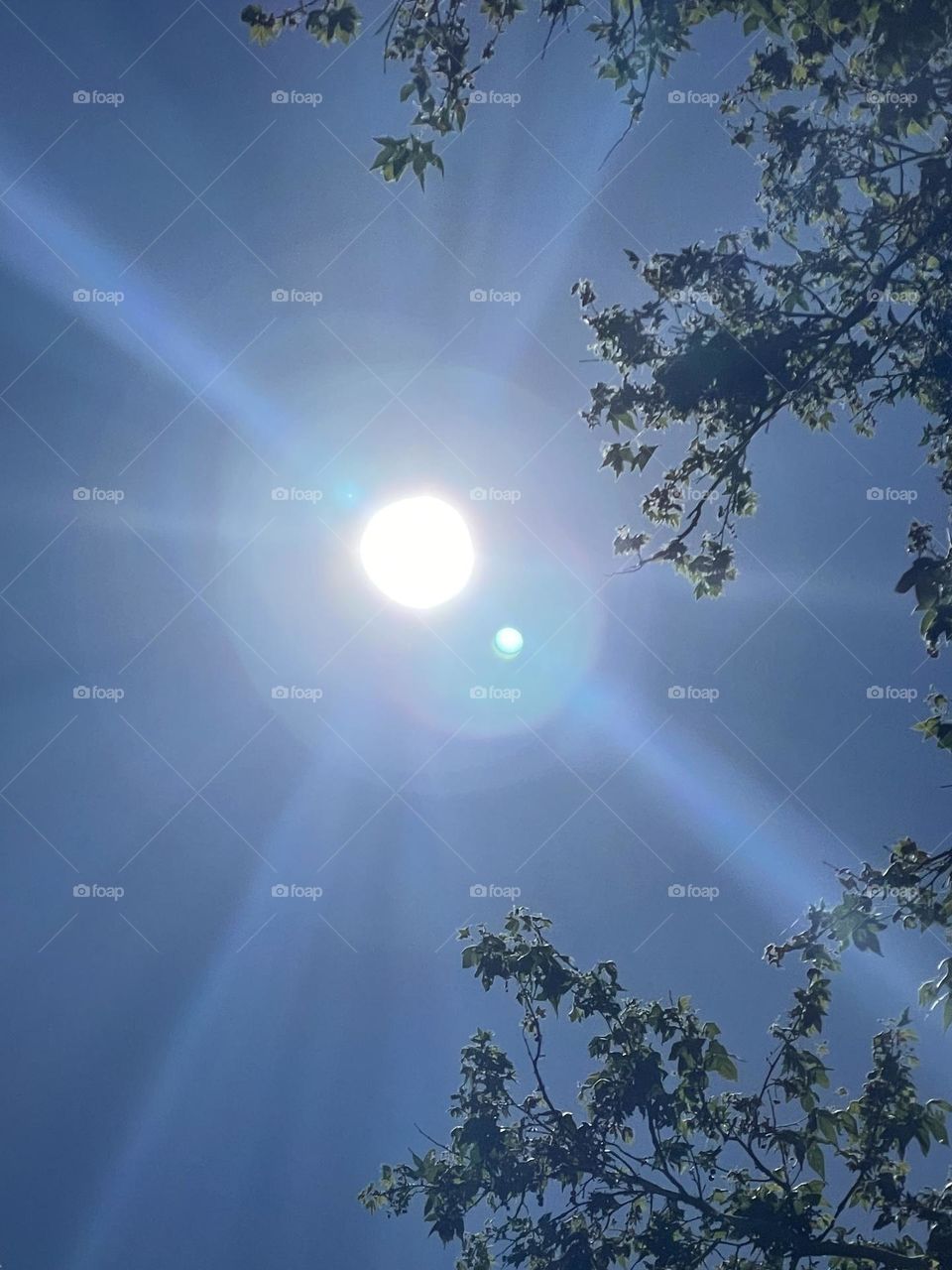 Majestic sun energies 🌍