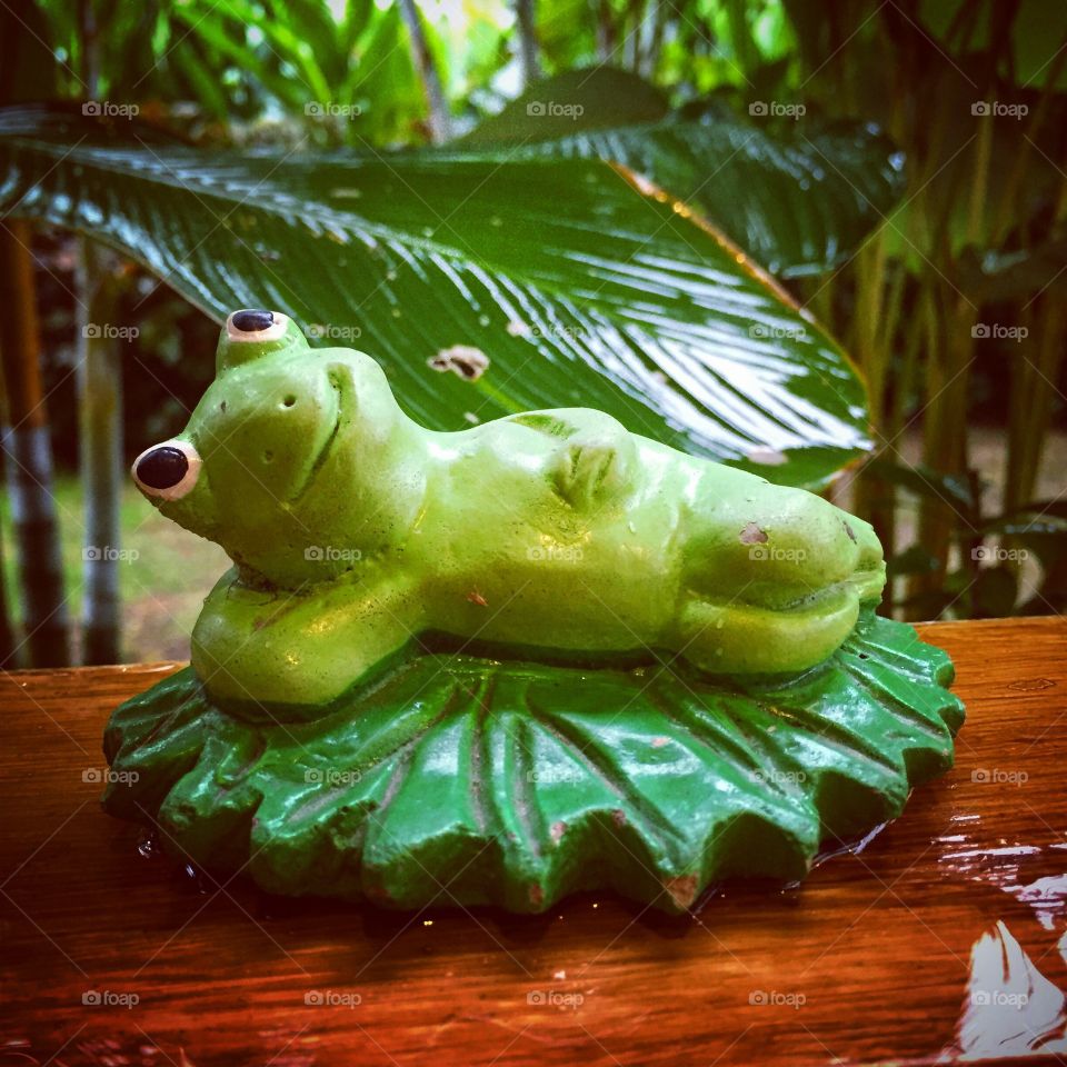 Frog statue in garden