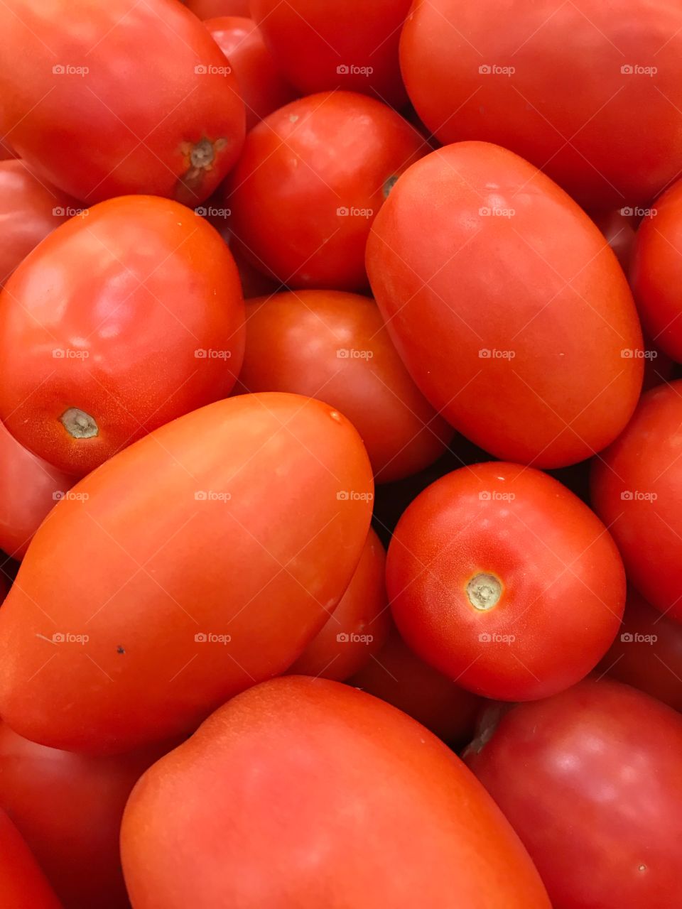 Roma Tomatoes 