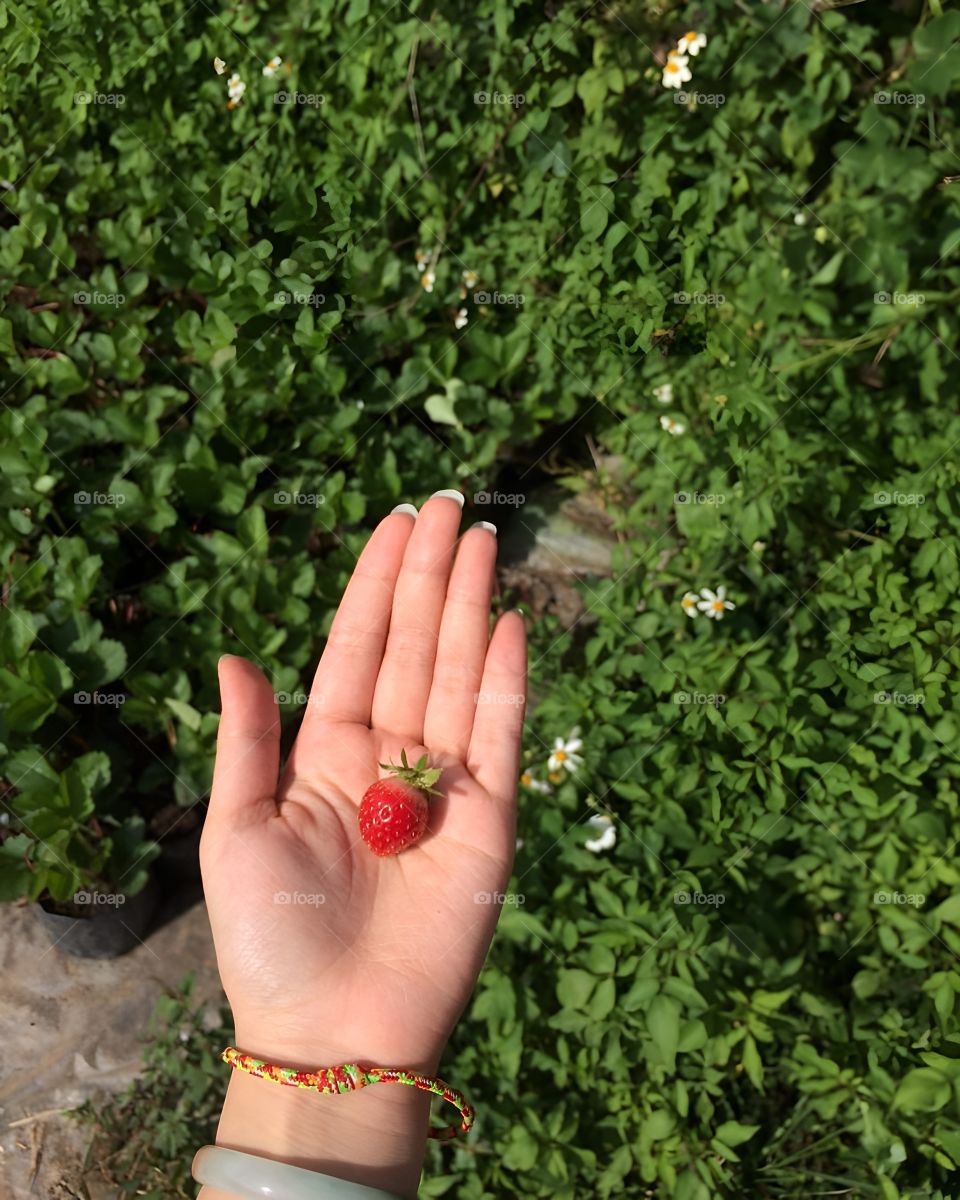 tiny strawberry on my hand