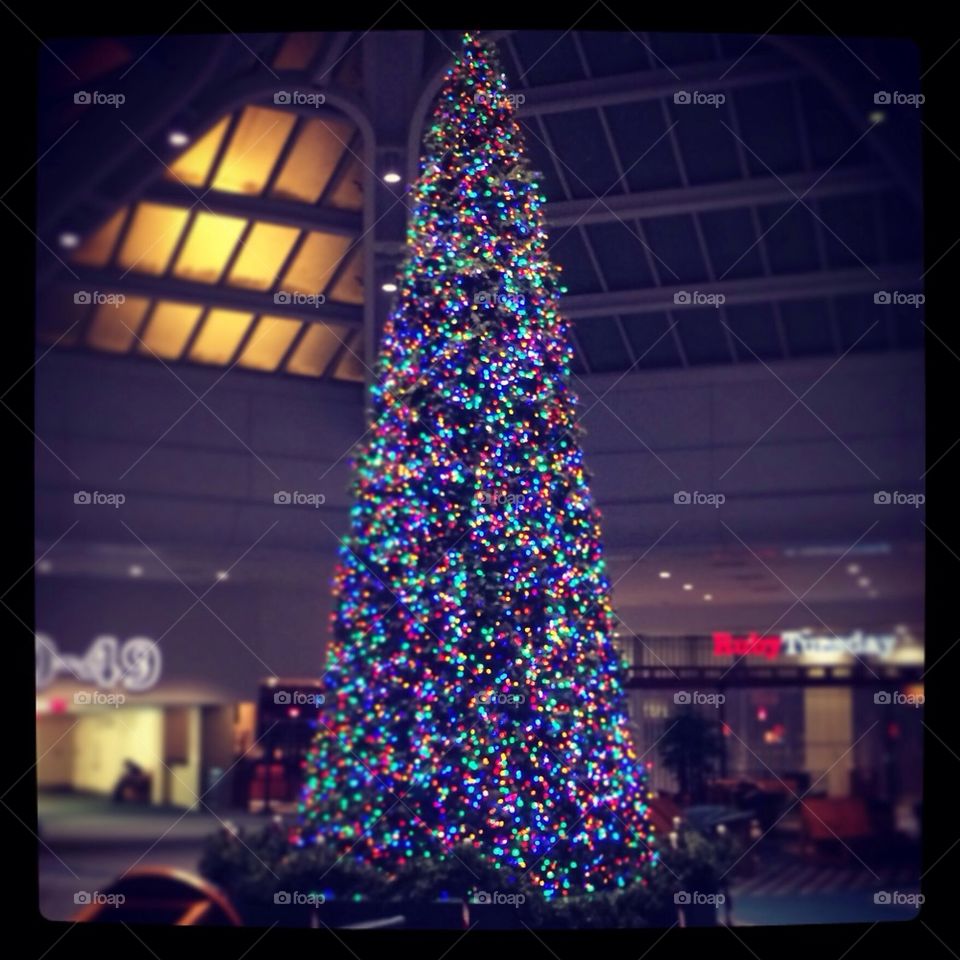 Christmas Tree at Orlando Airport
