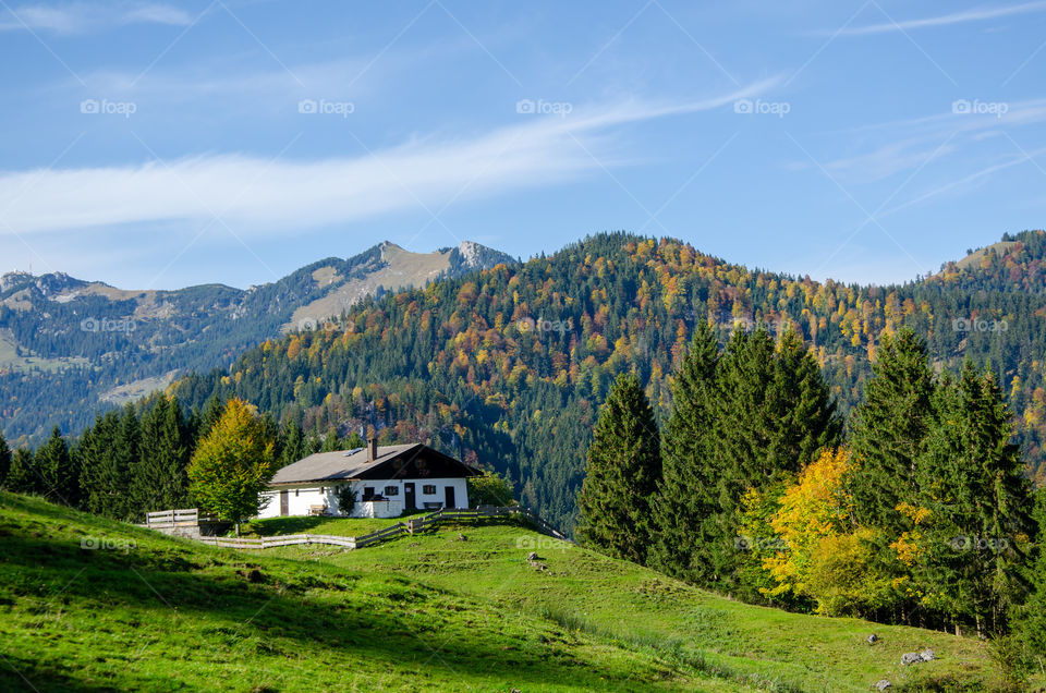 Autumn in the Mountains