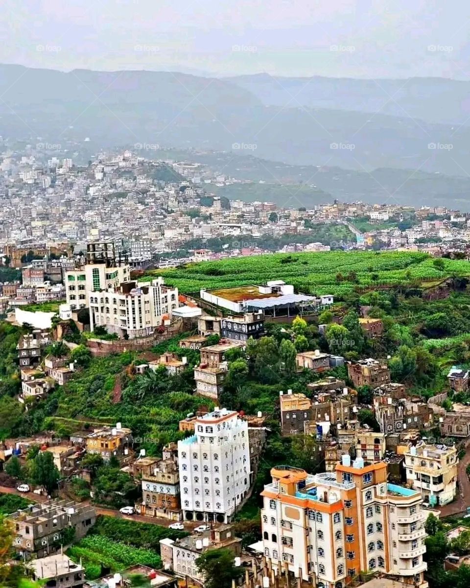 A very beautiful picture, and there is no better picture than it. There is no better picture of green herbs and colorful, red and white roses than it. Glory be to God, the natural and picturesque view, and there is no more