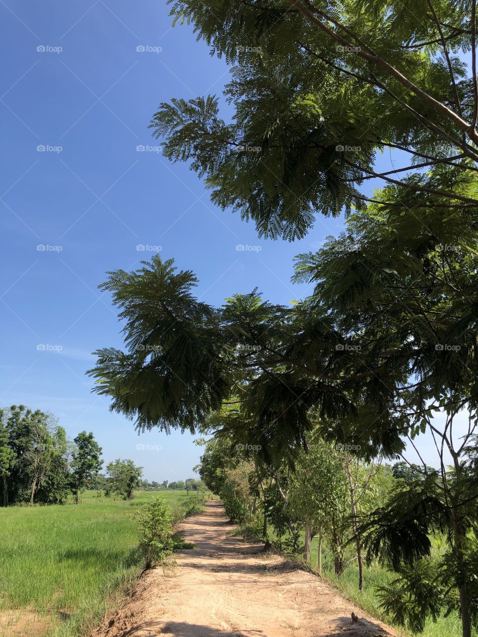 Holiday with my family, Countryside ( Thailand 🇹🇭