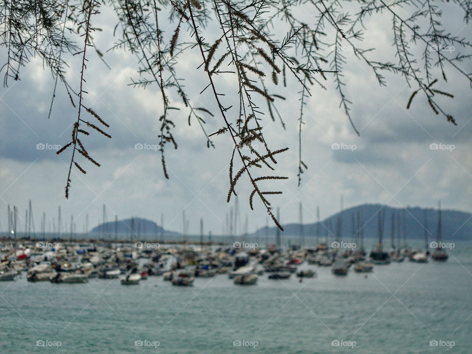 monochrome snapshot of lerici coast, italy