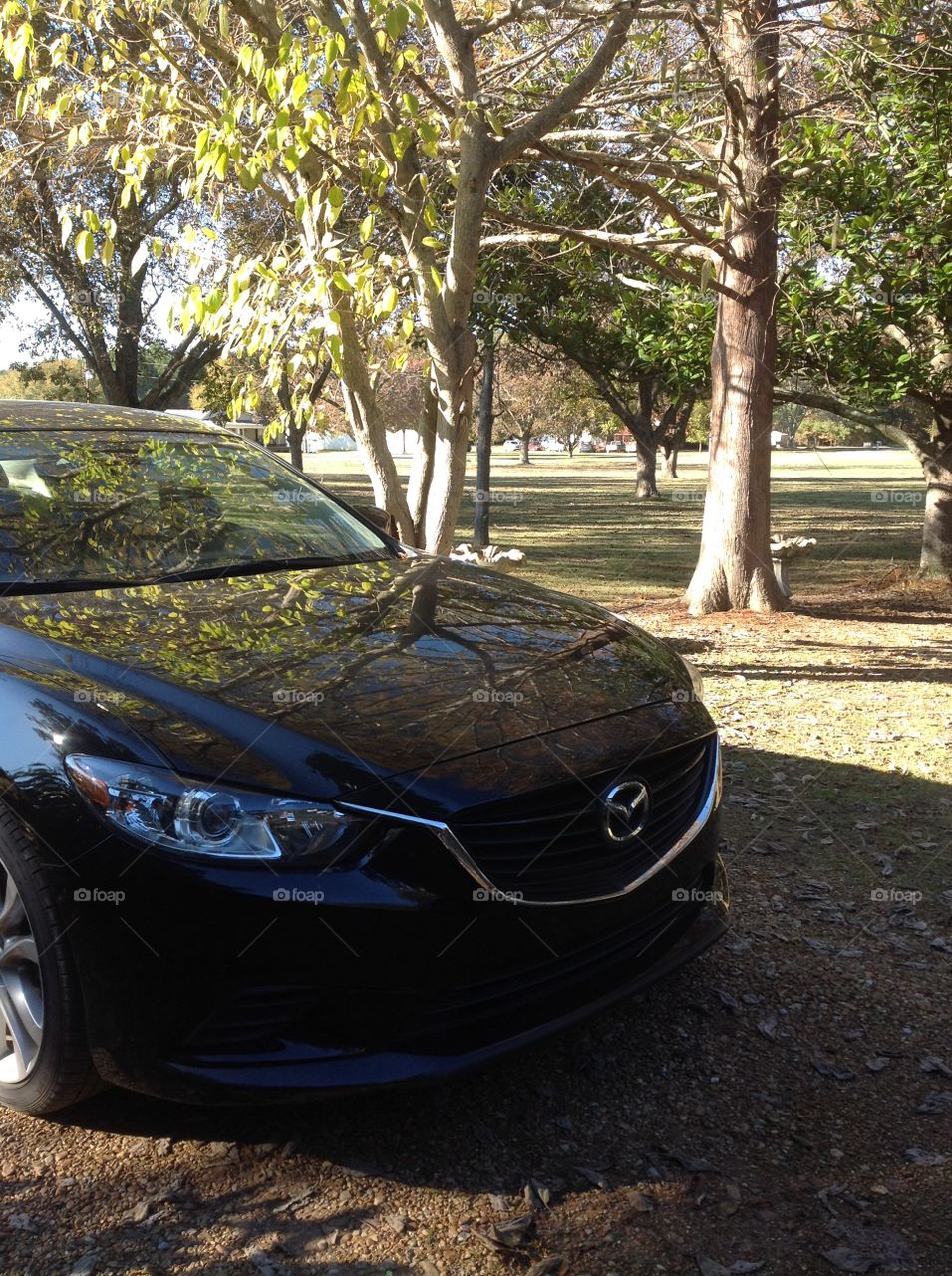 Driving the Countryside in a Mazda