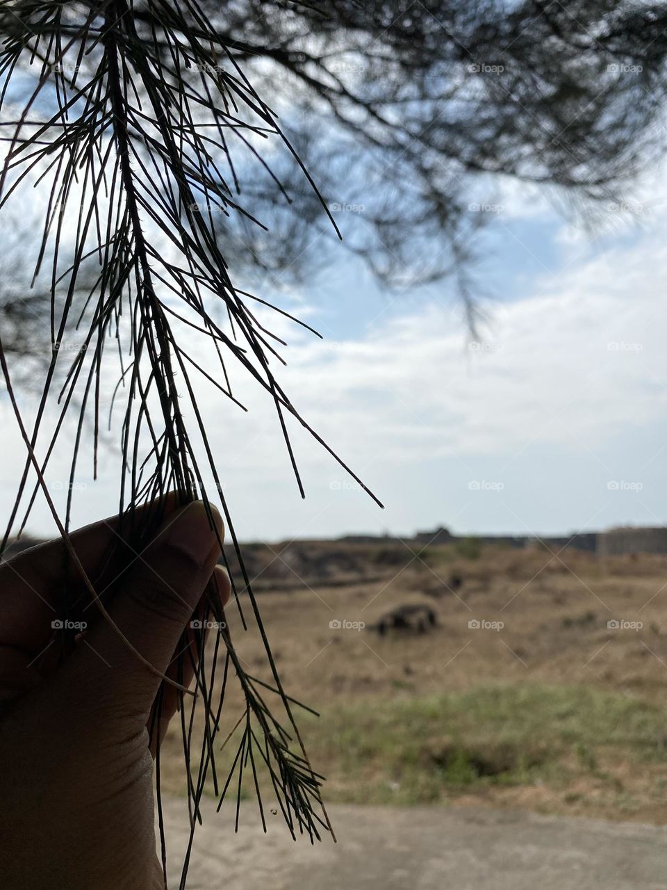 Captured this inside the sindhudurga fort 