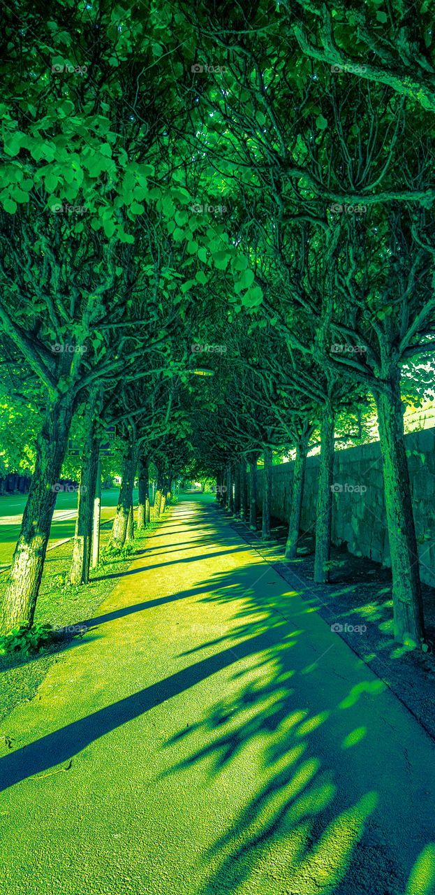 Natural light and artificial exposure.